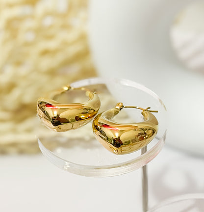 Drop Hoops Earrings