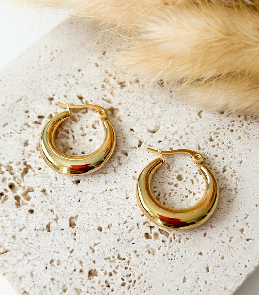 Circular hoops earrings