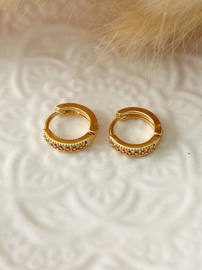 Small Shiny Earrings