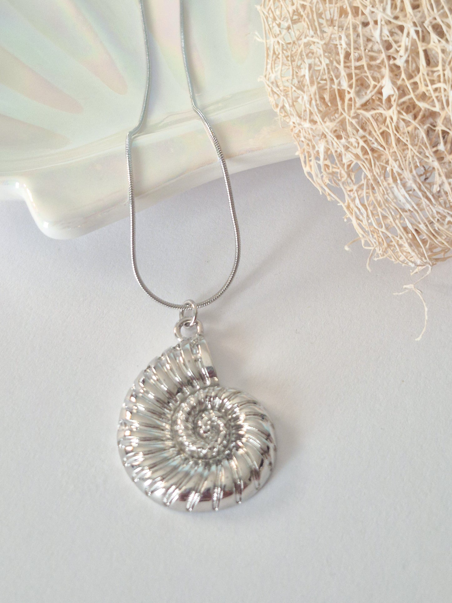 Espiral Marino